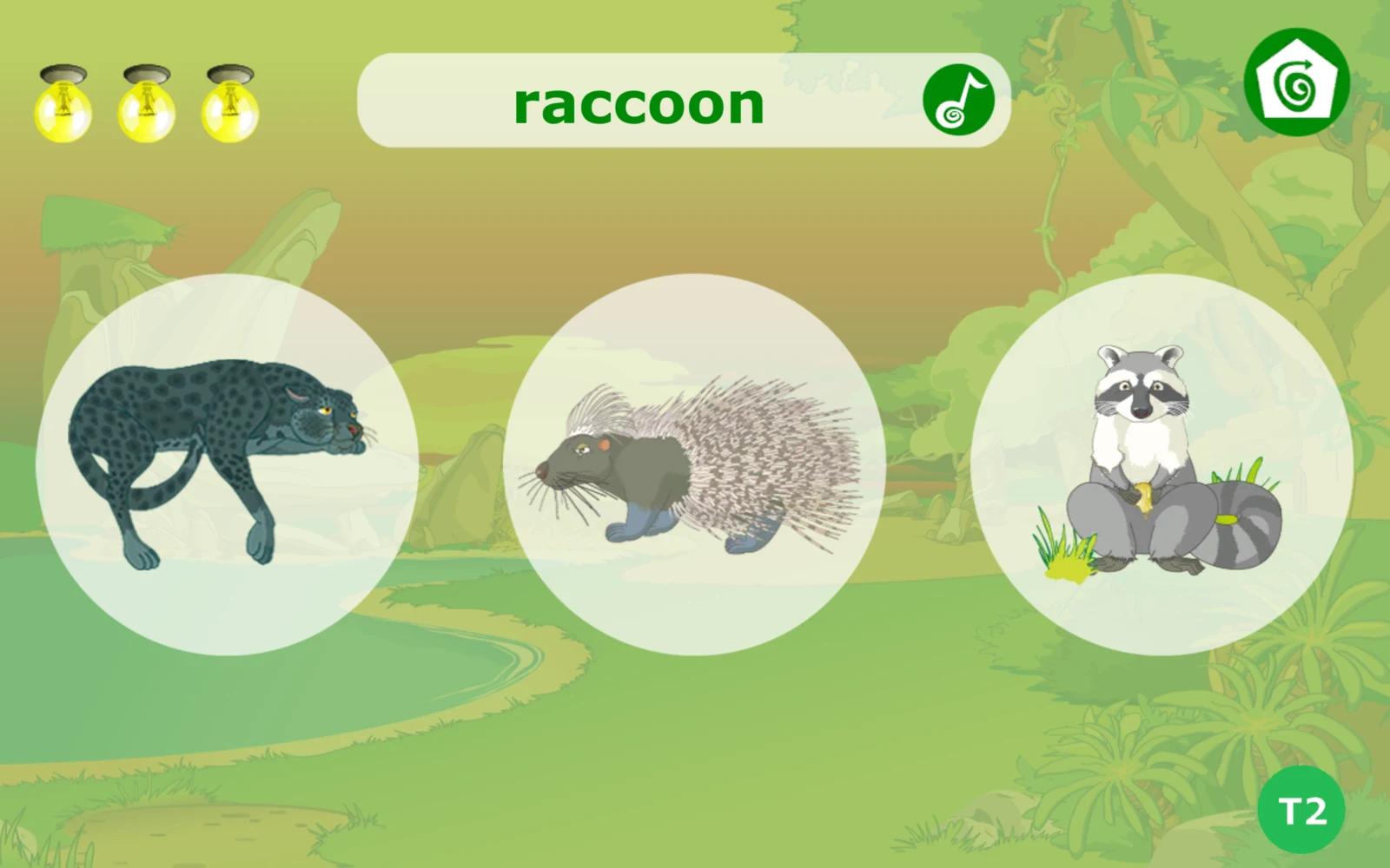 選中大象後的下一題 raccoon