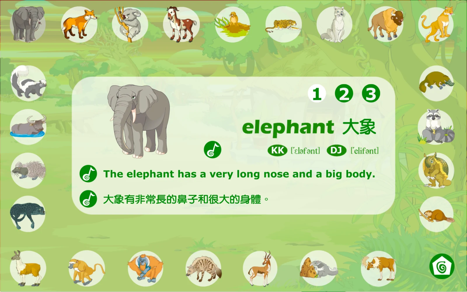 elephant 大象的單字、音標與中英例句
