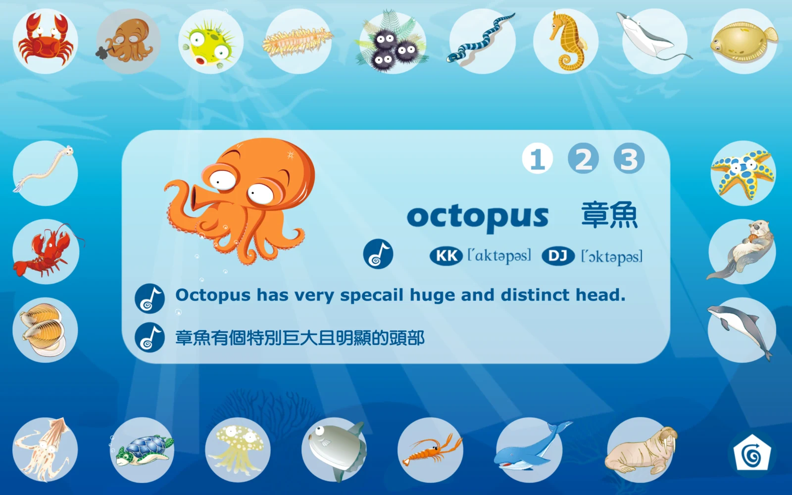 選擇章魚後的 octopus 單字卡