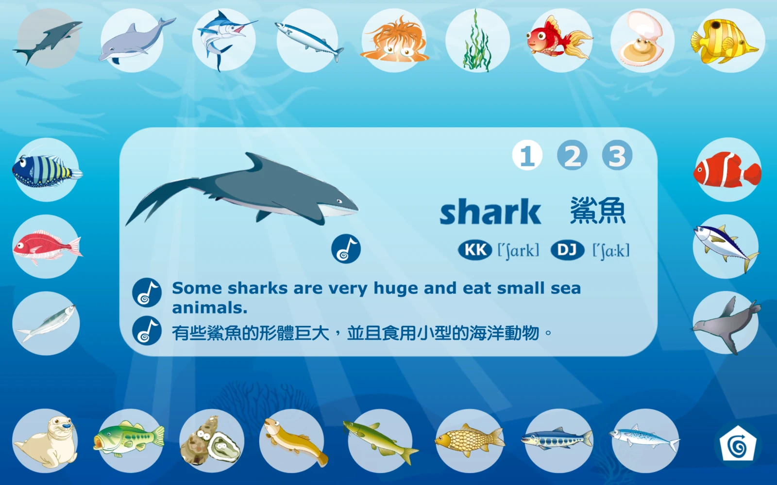 第二組單字卡的 shark 鯊魚