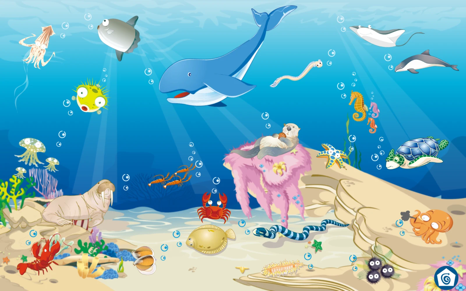 第一組海底情境的海洋生物