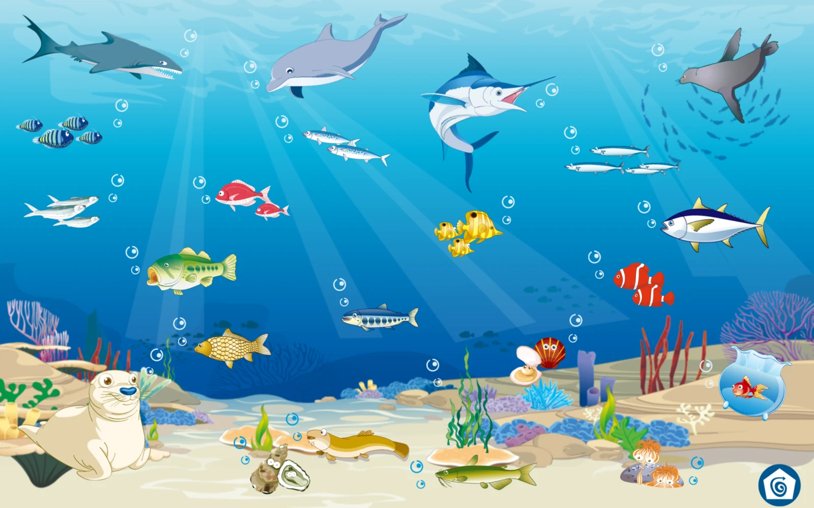 第二組海底情境的海洋生物