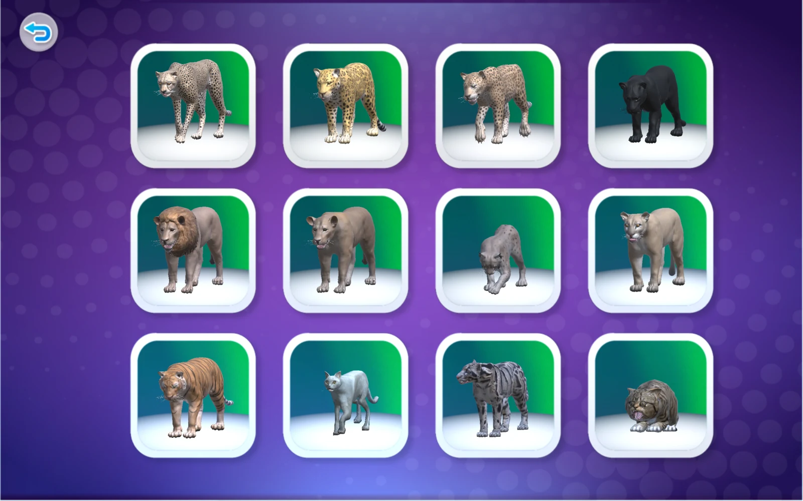 第6組動物的選擇清單