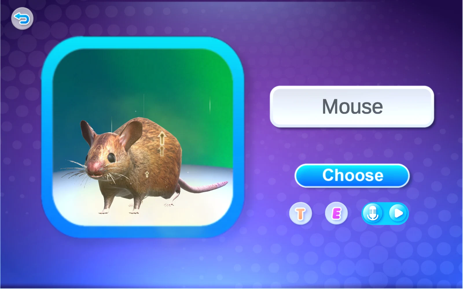 老鼠名稱卡與 Choose 按鈕
