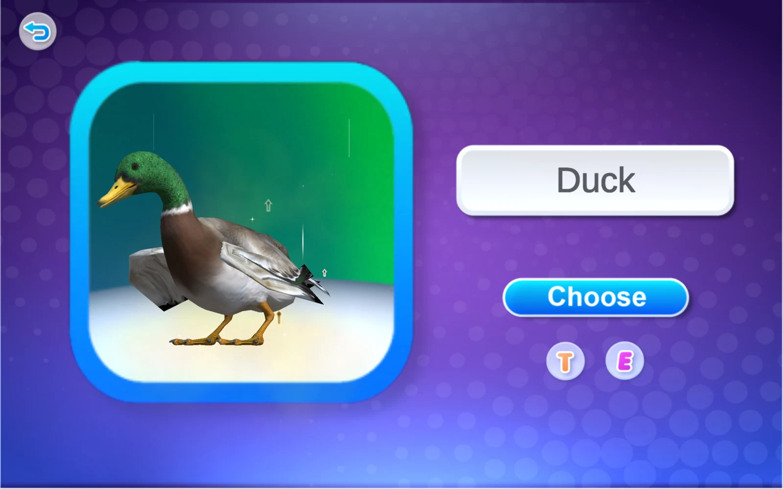 鴨子名稱卡與 Choose 按鈕