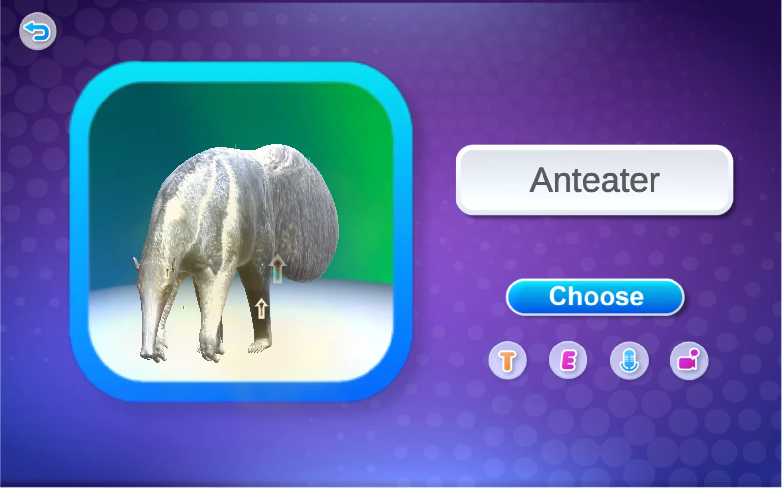 Anteater 名稱卡與 Choose
