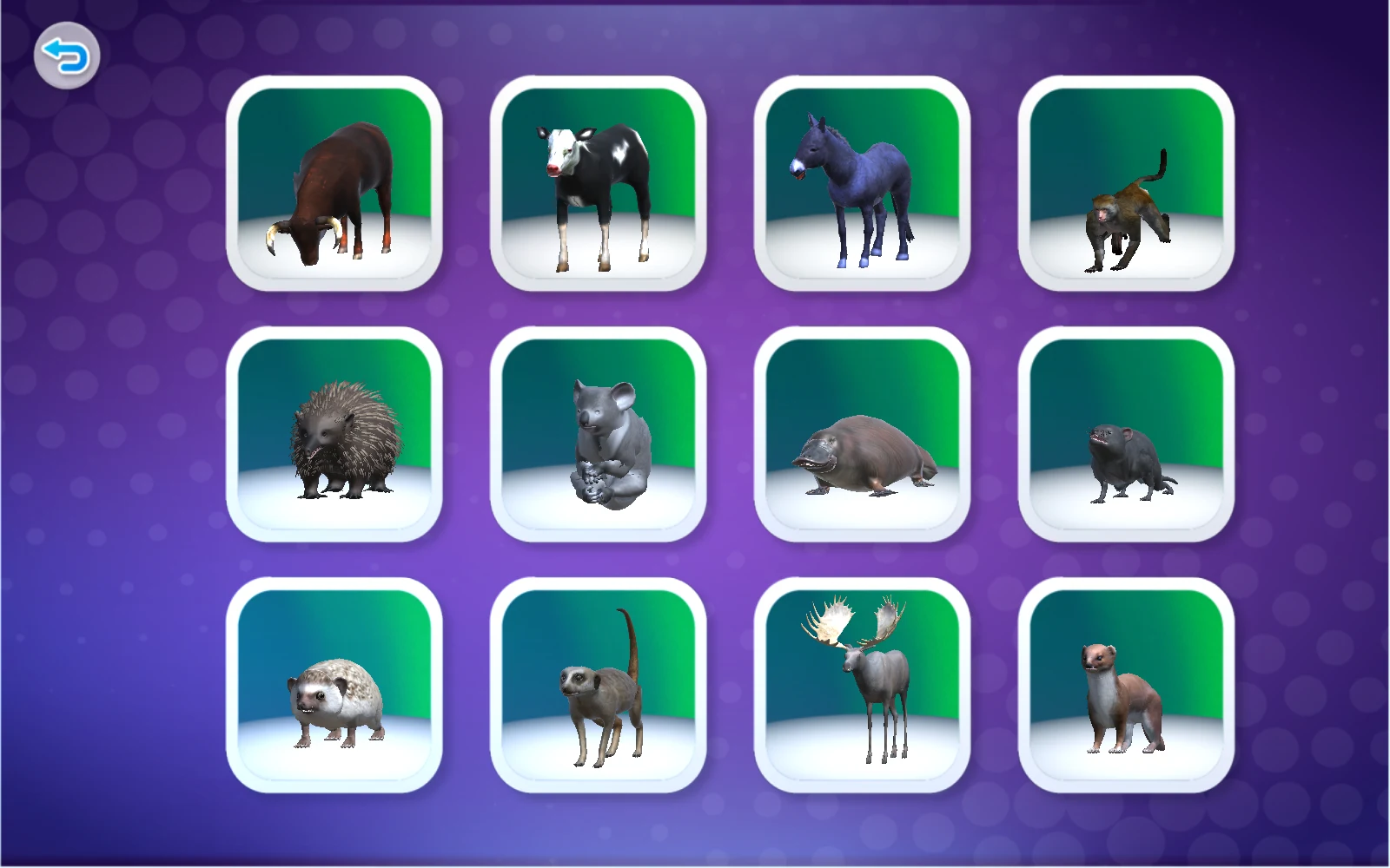 數字4動物清單