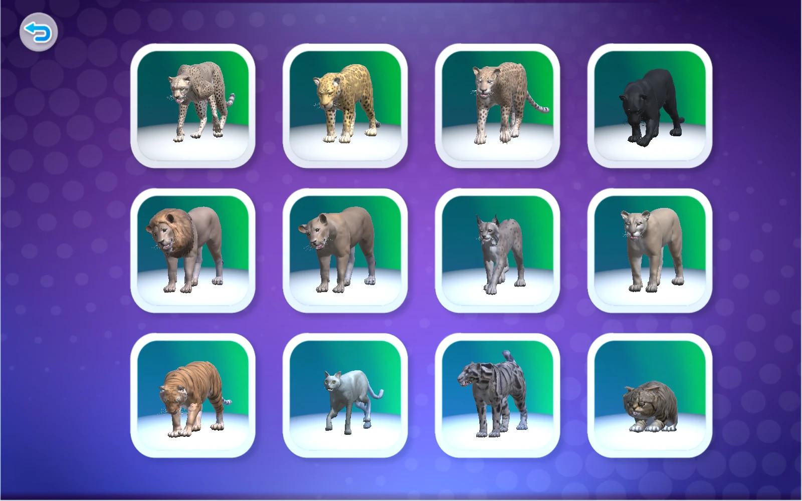 數字6動物清單