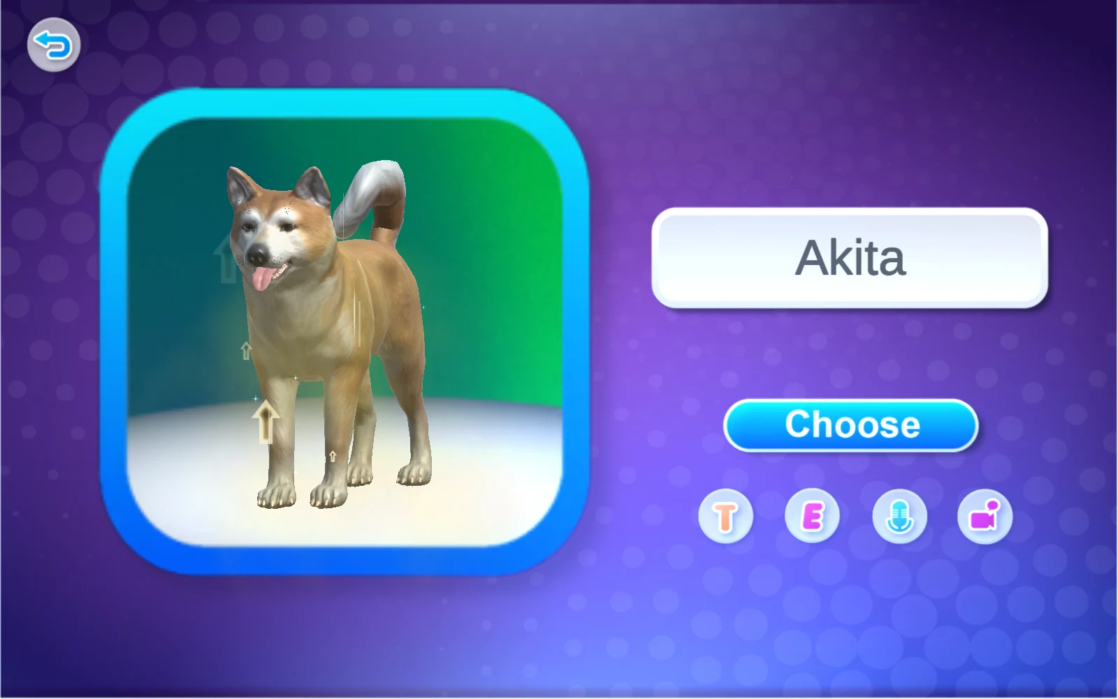 秋田犬名稱卡的 Akita 與 Choose