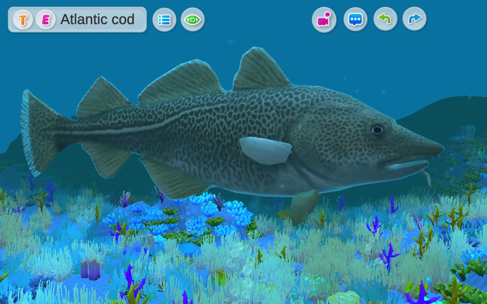 切換後顯示 Atlantic cod 的水下場景