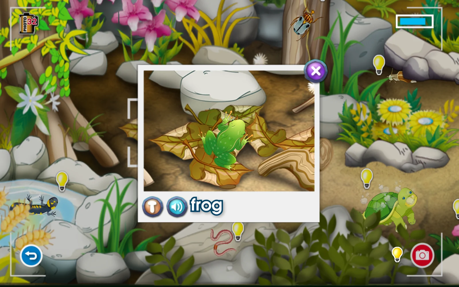 成功拍到青蛙後的frog照片與T