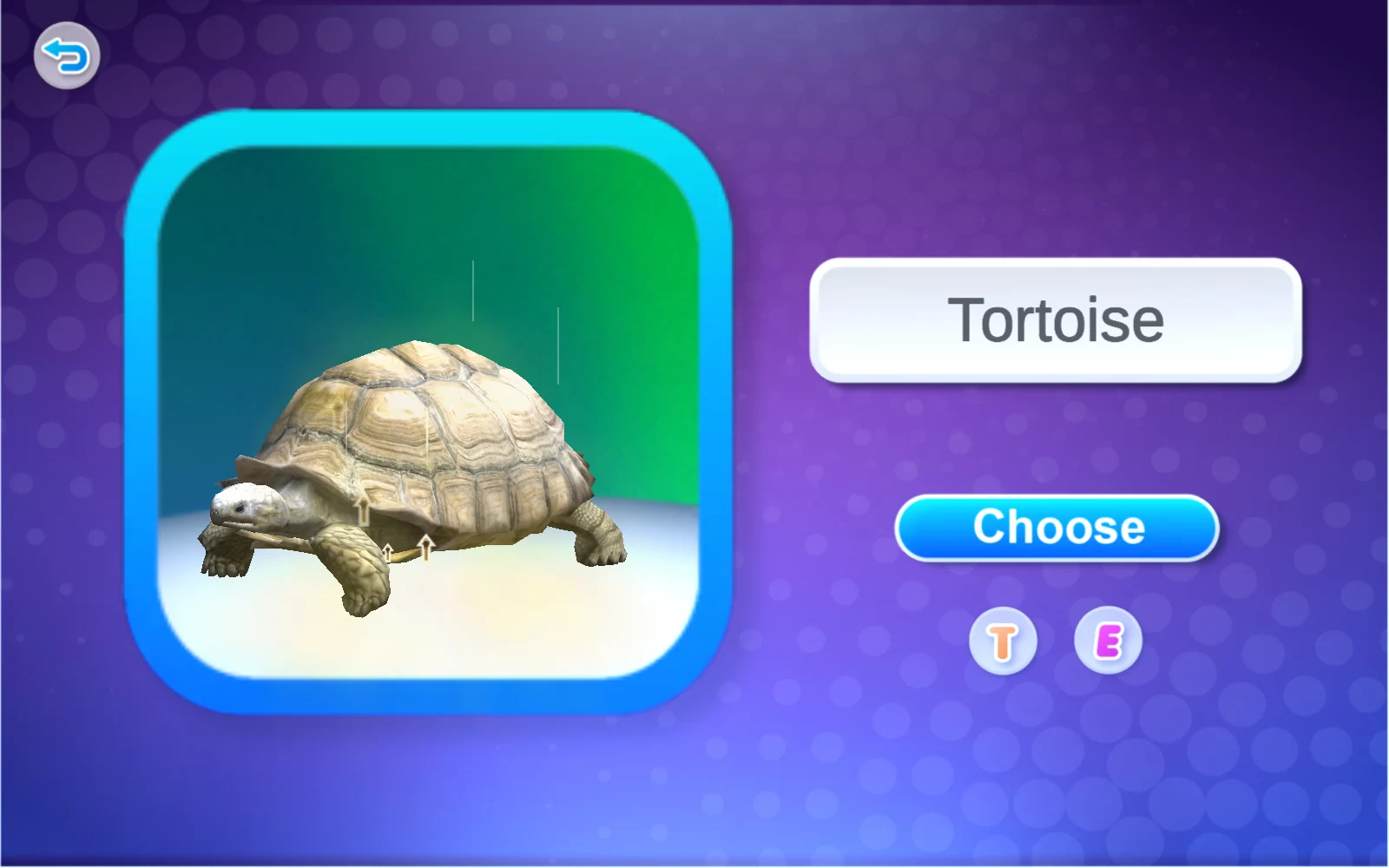 Tortoise 名稱卡與 Choose 按鈕