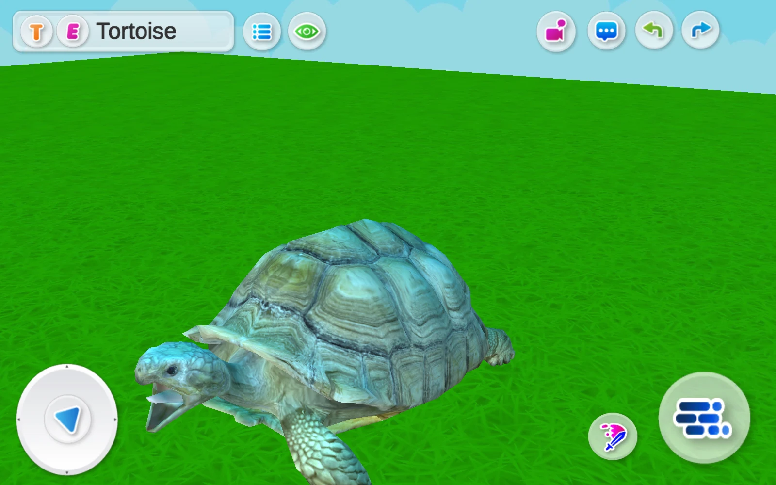 Tortoise 陸龜的草地場景