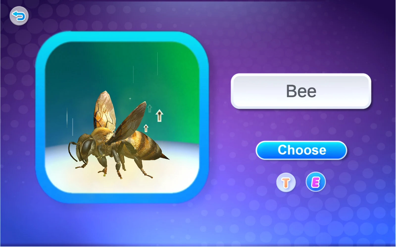 名稱卡顯示 Bee
